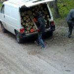 Złodzieje w kominiarkach grasują w lasach Warmii i Mazur. Pakowali drewno do busa i się nagrali
