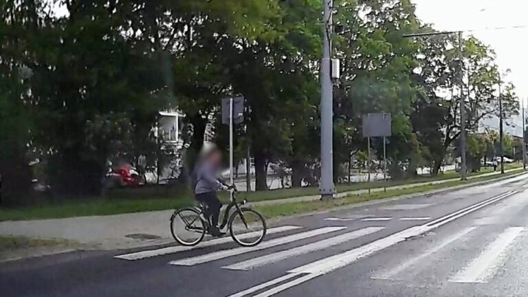 rowerzysta wjechał na przejście dla pieszych
